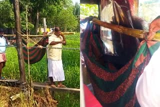 Kuttanad Neelamperur people suffering because of no footbridge  paralyzed old woman taken to the hospital by laid in a bamboo stick and cloth  കുട്ടനാട് നീലംപേരൂർ നടപ്പാലം  പക്ഷാഘാതം സംഭവിച്ച വൃദ്ധയെ ആശുപത്രിയിൽ എത്തിച്ചത് മുളയിൽ തുണികെട്ടി  പതിനഞ്ചിൽചിറ നടപ്പാലമില്ല  ആലപ്പുഴ നടപ്പാലം വാർത്ത  alappuzha nadappalam news