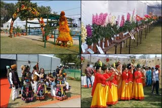 Rose Festival Chandigarh