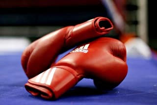 Junior Boxing Championships  एएसबीसी एशियाई युवा  जूनियर मुक्केबाजी चैंपियनशिप  बॉक्सिंग फेडरेशन ऑफ इंडिया  बीएफआई  खेल समाचार  ASBC Asian Youth  Junior Boxing Championship  Boxing Federation of India  BFI  Sports News