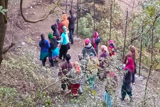 Dead body found in forest of George Everest