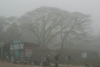 Fog in manyam