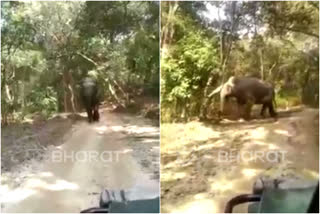 jim corbett tiger reserve  elephant in front of vehicle  elephant chases woman  വാഹനത്തിന് മുന്നില്‍ കാട്ടാന  ജിം കോര്‍ബെറ്റ് നാഷണല്‍ പാര്‍ക്ക് കാട്ടാന