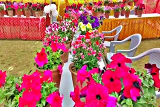 Flower Festival in Ajmer