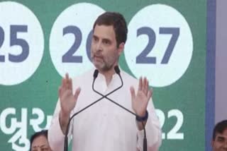 Rahul Gandhi In Dwarka: રાહુલ ગાંધીએ ભાજપને ગણાવ્યું 'કૌરવ', શ્રીકૃષ્ણ-ગાંધીજીનું ઉદાહરણ ટાંકી આપ્યો સત્ય માટે લડવાનો મંત્ર