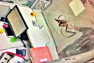 Robbery in bank on the basis of pistol in Rajasthan