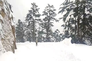 gangotri highway closed due to snowfall