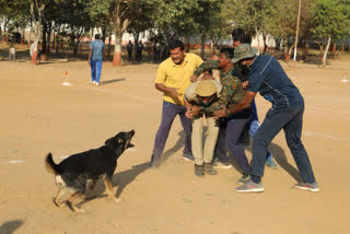 Dogs Parade: 'నేర పరిశోధనలో శిక్షణ పొందిన జాగిలాలది కీలక పాత్ర'