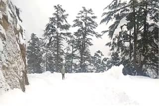 Uttarkashi In Uttarakhand