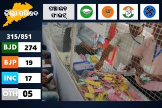 Panchayat Vote Counting: ବଢ଼ି ଚାଲିଛି ବ୍ୟବଧାନ, ଖସୁଛି ବିଜେପି, ଉଠୁଛି ବିଜେଡି