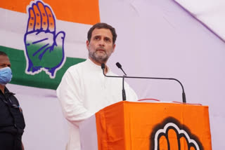 rahul Gandhi
