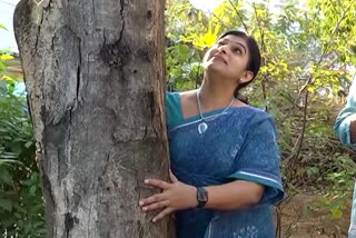 the-first-anniversary-to-the-tree-and-named-as-kalpavriksham