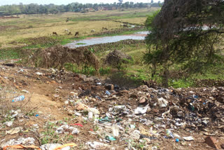 Medical waste being thrown in the open in Dumka