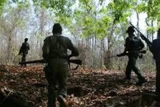 Two female Naxals killed in gunfight in Chhattisgarh's Bijapur