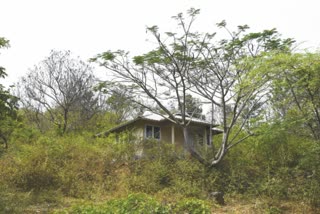 എച്ച്‌ആർഡിഎസ്‌ ആദിവാസി കുടുംബം വീട്  ഷോളയൂര്‍ ആദിവാസികള്‍ക്ക് വാസയോഗ്യമല്ലാത്ത വീട്  എച്ച്‌ആർഡിഎസിനെതിരെ കേസ്  complaint against ngo hrds  attappady uninhabitable houses for adivasis