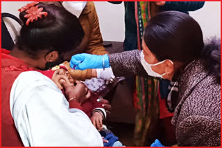 pulse polio campaign in himachal