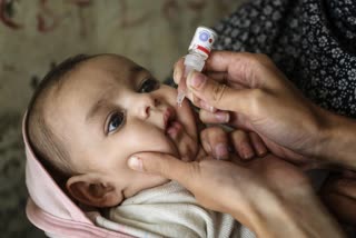 20.56 lakh children in the state have been vaccinated against polio  PULSE POLIO DRIVE KERALA  PULSE POLIO  പോളിയോ തുള്ളിമരുന്ന് വിതരണം  സംസ്ഥാനത്ത് 20.56 ലക്ഷം കുട്ടികള്‍ക്ക് പോളിയോ തുള്ളിമരുന്ന് നല്‍കി  പോളിയോ തുള്ളിമരുന്ന് കേരളം  20.56 ലക്ഷം കുട്ടികള്‍ തുള്ളിമരുന്ന് സ്വീകരിച്ചതായി ആരോഗ്യ മന്ത്രി