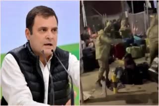 Rahul Gandhi on video of Indians in Ukraine: 'Can't abandon our own people'