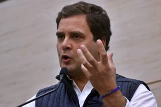 rahul gandhi