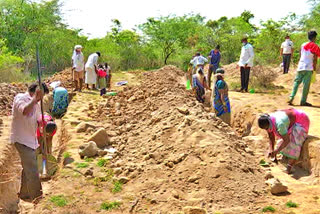 NO MGNREGA For Chenchu Community