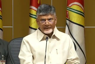 chandrababu fires on AP cm jagan, chandrababu