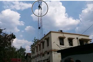 Youngster on Tower in SP Office