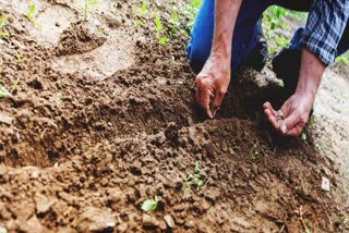 बिहार में मिट्टी जांच