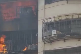 Kanjurmarg NG Royal Park fire