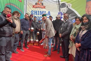 Cricket competition will be organized in Shimla