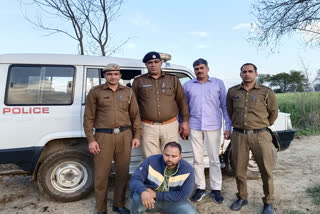 rohtak wife murder