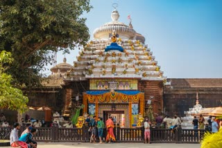 lingaraj temple mahashivratri video