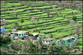 Mukhya Mantri Khet Sanrakshan Yojna