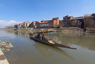 Shikara Rowers of Jhelum