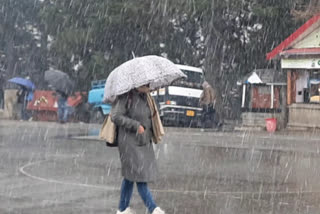 Himachal Weather Update