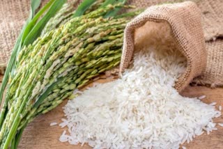 rice export affected after russia ukraine war