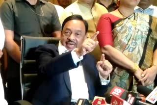 Narayan Rane