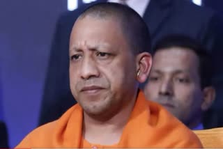 Uttar Pradesh stray cattle poll issue impact  BJP strategy changed last 2 phases  Yogi dropped from Poll posters  BJP Yogi Assembly strength weaknesses  Cow factor BJP course correction Srinanand Jha  യുപി തിരഞ്ഞെടുപ്പ്  തെരഞ്ഞെടുപ്പ് പോസ്റ്ററുകളില്‍ നിന്നും യോഗിയെ മാറ്റി  യോഗി ആദിത്യനാഥ്  നരേന്ദ്രമോദി