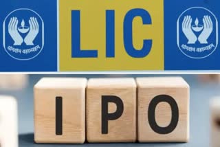 indian government may postpone lic ipo