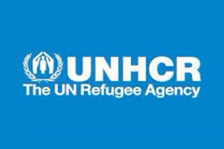 संयुक्त राष्ट्र शरणार्थी एजेंसी