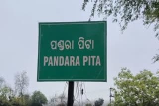 Children kills puppy sulia Jatra  children play animal sacrifice in odisha  നായ്ക്കുട്ടിയെ ബലിനൽകി  മൃഗബലി സുലിയ ജാത്ര  നായ്ക്കുട്ടിയെ കൊന്ന് രക്തം കുടിച്ചു