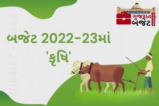 Gujarat Budget 2022 : બજેટમાં કૃષિલક્ષી મહત્ત્વની જોગવાઇઓ શું છે તેના પર એક નજર