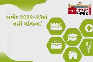 Gujarat Budget 2022: બાગાયતી યોજનાઓ માટે રૂપિયા 369 કરોડ જોગવાઈ