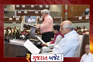 Gujarat Budget 2022: સામાજિક ન્યાય અને અધિકારિતા વિભાગ માટે 4,782 કરોડ રૂપિયાની જોગવાઈ