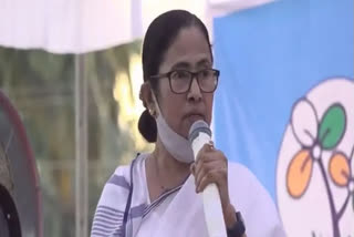TMCP protests in WB against showing of black flags to Mamata