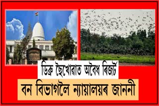 ৰাষ্ট্ৰীয় উদ্যানত অবৈধ ৰিজ'ৰ্ট: বন বিভাগলৈ ন্যায়ালয়ৰ কাৰণ দৰ্শোৱাৰ জাননী