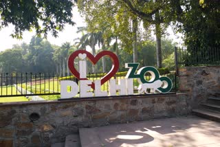 queens-hunt-continues-for-delhi-zoo-king