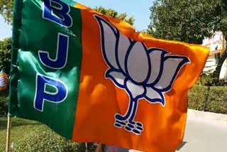 BJP Yuva Morcha declared divisional in charge