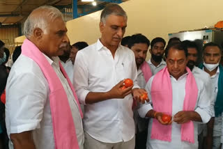 Ministers visit annadhana satram