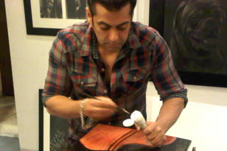 Salman Khan Paintings Show