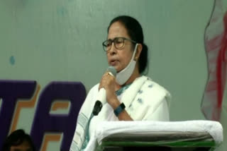 mamata banerjee attacks modi govt on ukraine issue