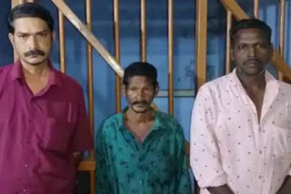 Three arrested for stealing iron sheets  ഷെഡിൽ സൂക്ഷിച്ചിരുന്ന ഇരുമ്പ് ഷീറ്റുകള്‍ മോഷ്ടിച്ചു  മോഷണക്കേസില്‍ മൂന്ന് പേര്‍ പിടിയില്‍  റാന്നി പഴവങ്ങാടി വാര്‍ത്ത